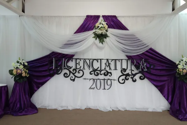 LICENCIATURA 8° AÑO 2019.