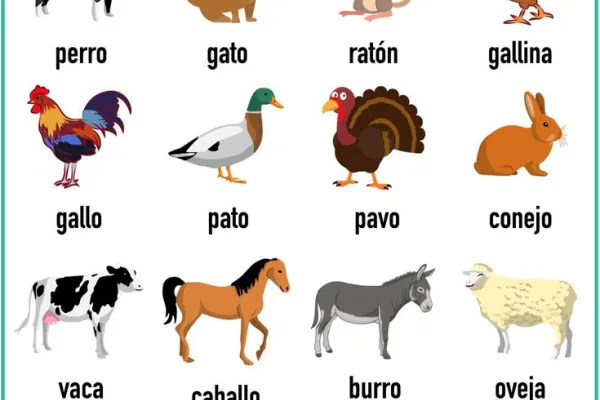 Cierre de la Unidad “Los Animales” – Pre-Kínder