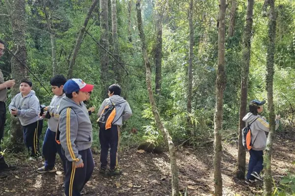 Una Aventura de Aprendizaje: "Los Campeones de la Francia" conquistan el Cerro Pumalal